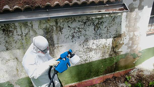 Trusted Mold Remediation service in Paris, VA - Cheap Mold Removal